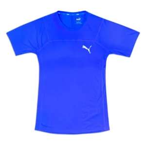 REMERA PUMA M SEASONS DRYCELL TEE 525819A04