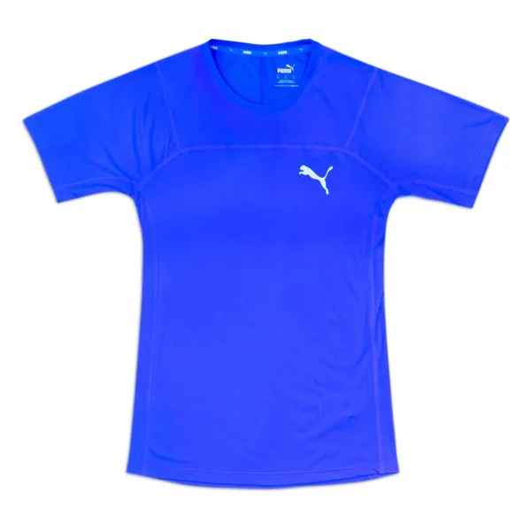 REMERA PUMA M SEASONS DRYCELL TEE 525819A04